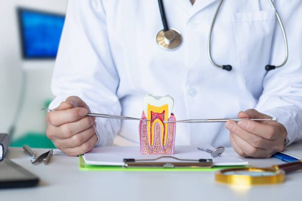 Best Weekend Emergency Dentist in Glespie, IL